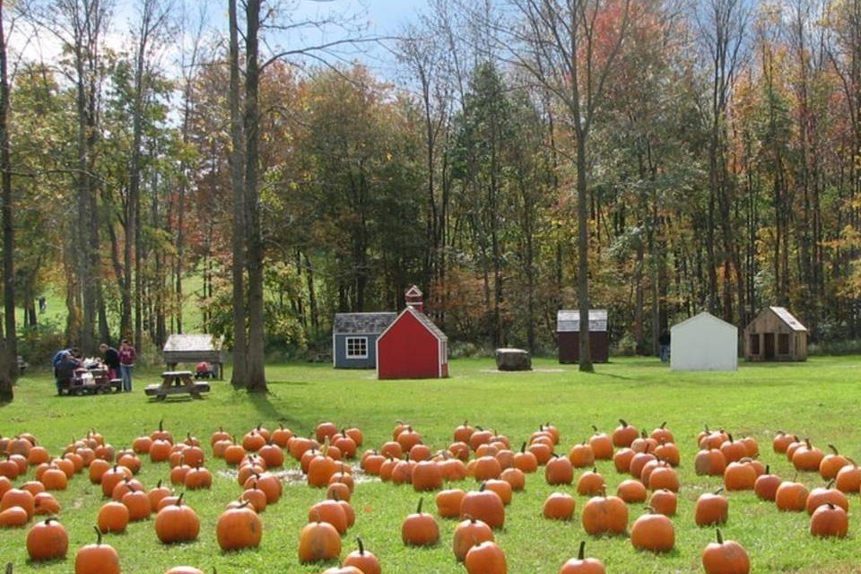 Pumpkins at Dubois Farms in Highland, NY