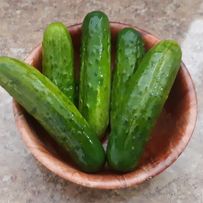 bowl of 5 large green pickles