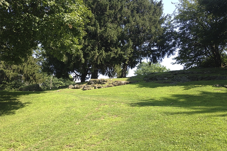 green hill in a park