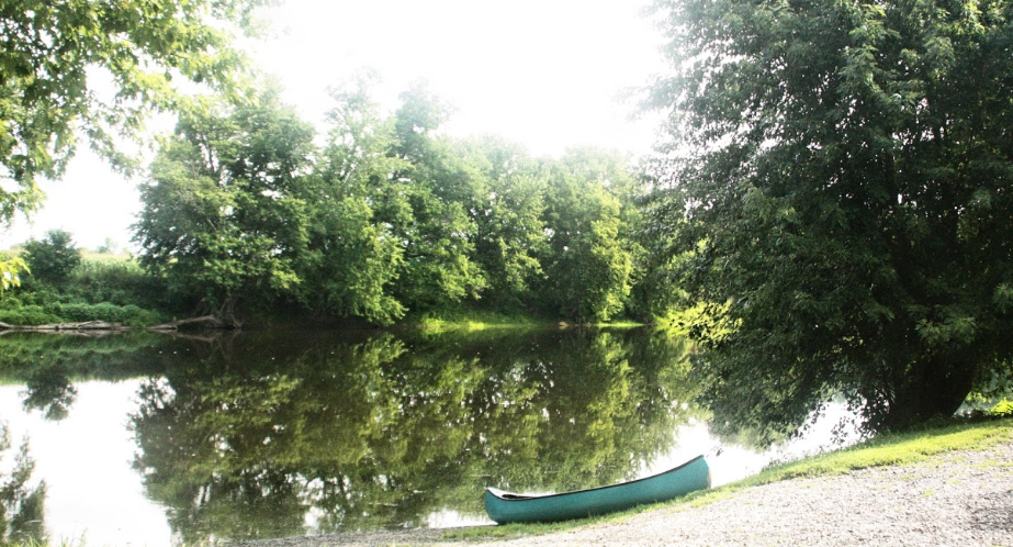 blue canoe sitting alongside river beach