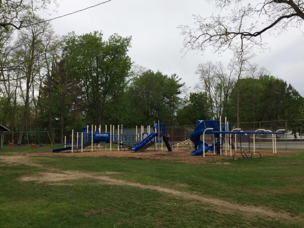 small park with blue playground equipment