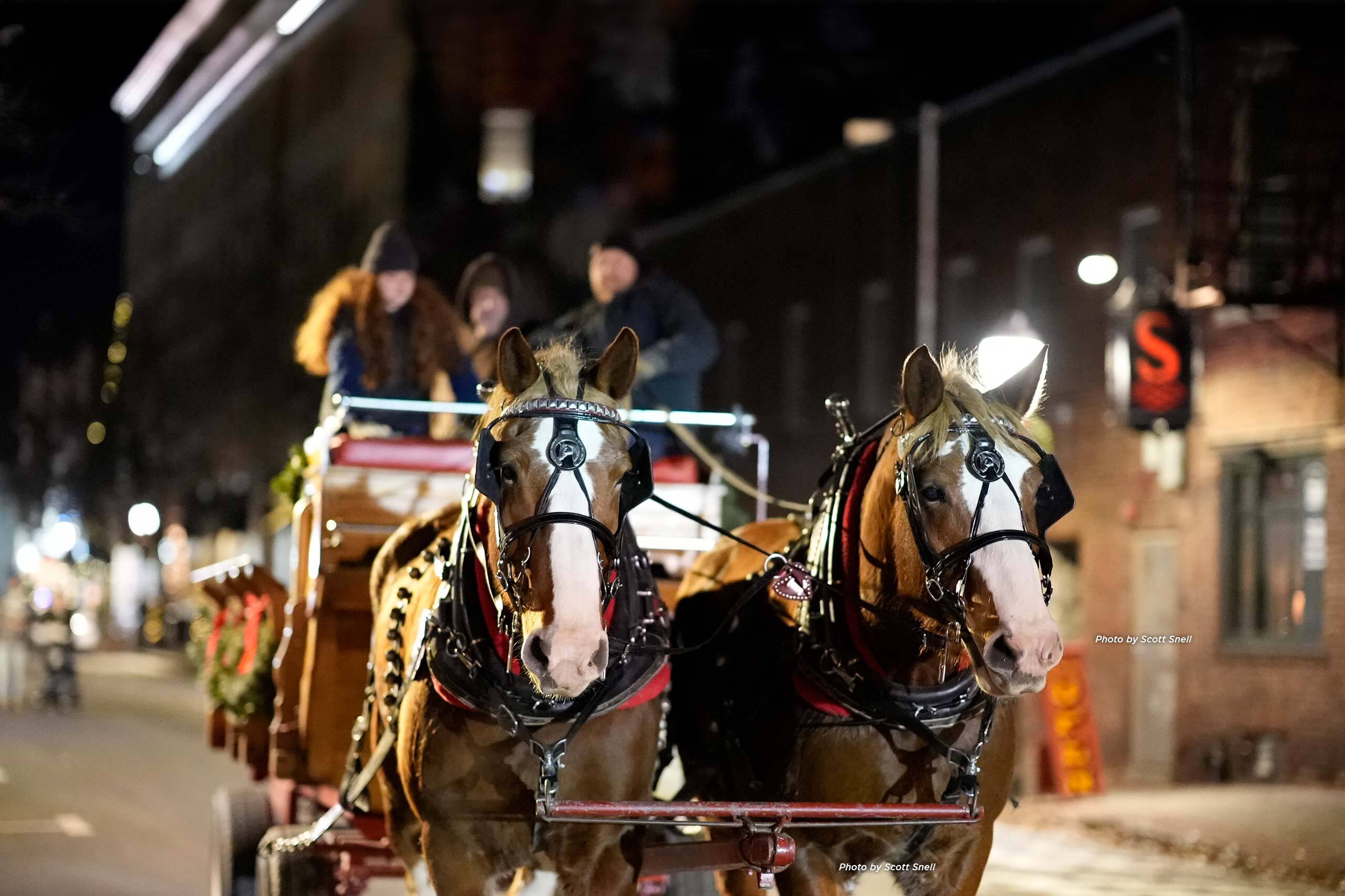 Holiday dressed horses pulling a carriage