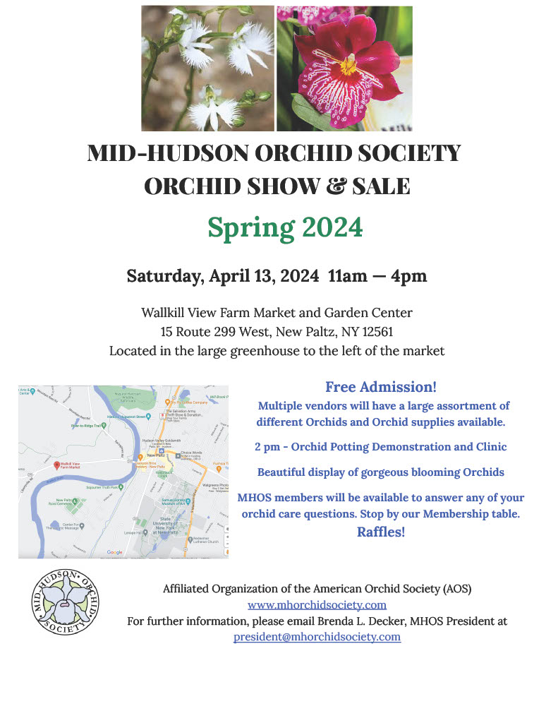 event flyer for orchid show