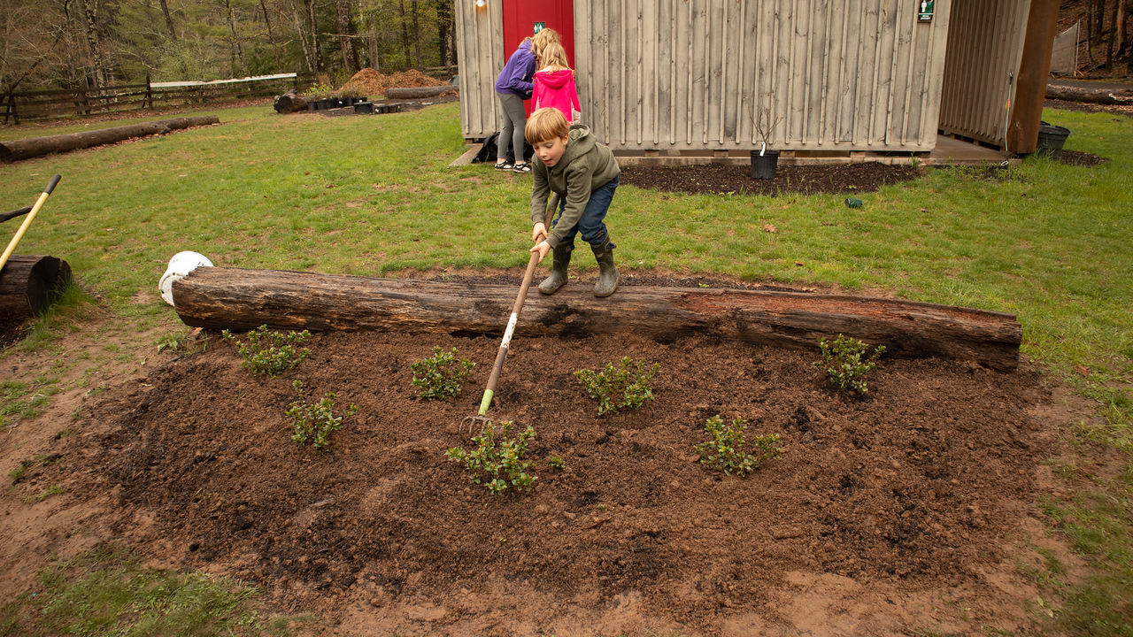 small boy raking a garden