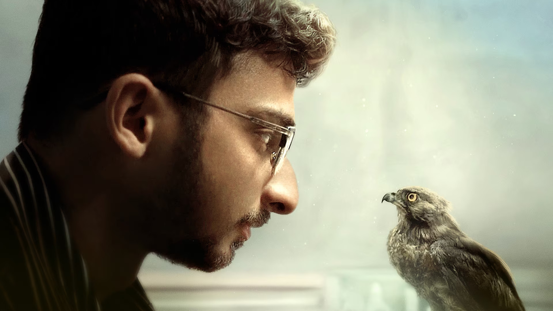 man and bird staring at each other