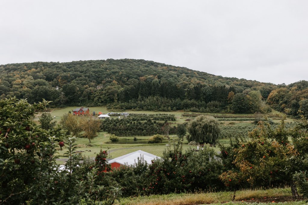 Scenic view of Nostrano Vineyards