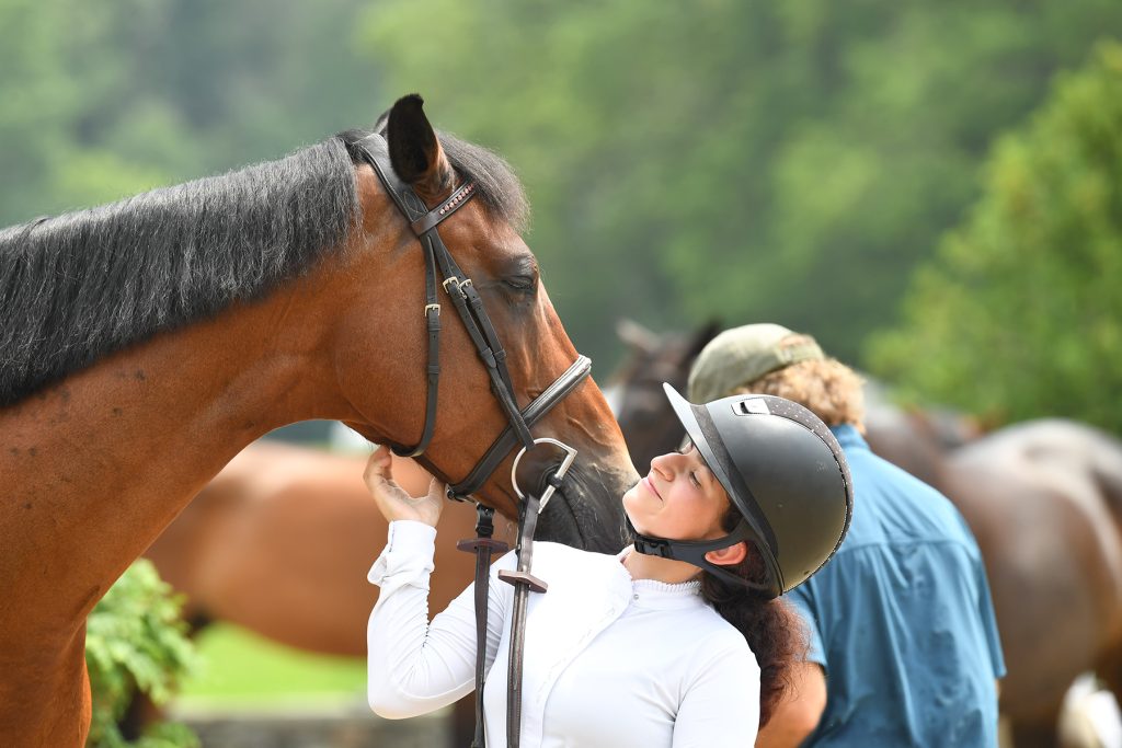 Horse and rider.