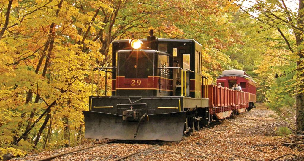 Train labeled '29' travels through autumn forest with vibrant yellow and orange leaves; CM/RR passenger car carries people enjoying ride.