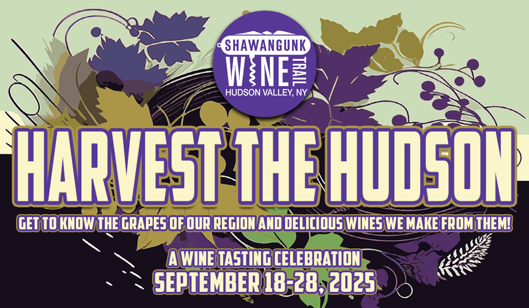 Harvest the Hudson event flyer, Shawangunk Wine Trail, Sept 18–28, 2025. Celebration with purple/green stylized grapes and leaves.