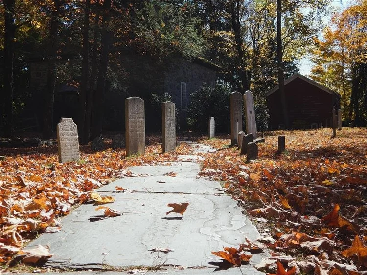 Old cemetery in autumn with upright gravestones along stone path, fallen leaves, trees, and historic buildings in the background.