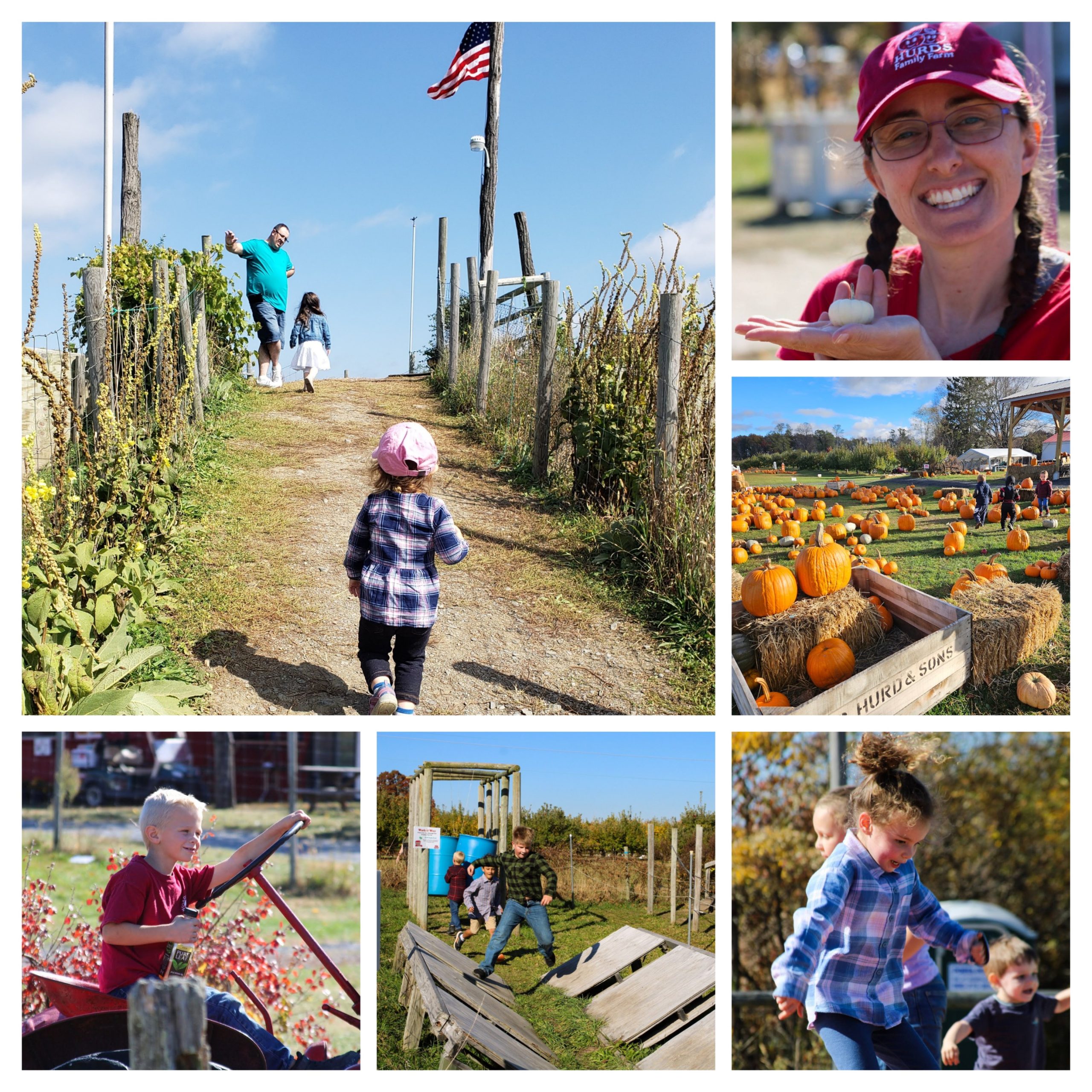Collage of children and families playing and exploring a pumpkin patch at Hurds Family Farm on Veterans Day, enjoying outdoor activities.